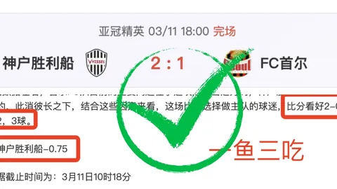 纽卡斯托全速前进，巅峰对决即将上演！纽卡斯托大战布里斯班！