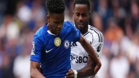 大乐透期号专家推荐：质合分析前区十码及大冷门预测